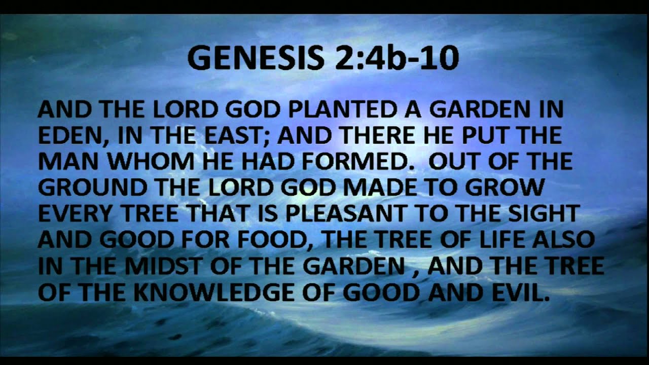 AC 2011 Rev  Dr  Pam Ford Bible Study