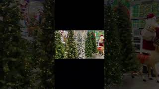 Loweβs Christmas trees #followme #christmas