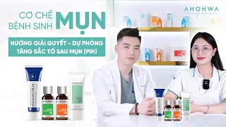 Cơ chế bệnh sinh của mụn & bí quyết ngăn ngừa thâm sau mụn (PIH) - Giải mã làn da cùng chuyên gia