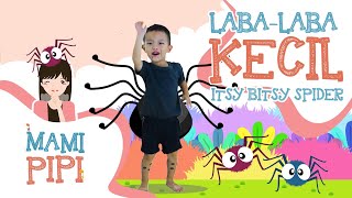 laba-Laba Kecil / Itsy Bitsy Spider - Mami Pipi - Lagu Anak Indonesia Populer 2020 - Nursery Rhymes