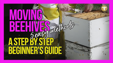 Moving Beehives [the right way] 5 Easy Methods