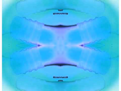 Nelvana/Nickelodeon (2009) In G Major 113