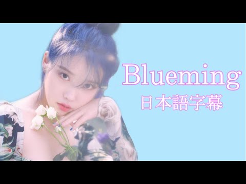 【日本語字幕】〈Blueming〉IU 【歌詞】【和訳】