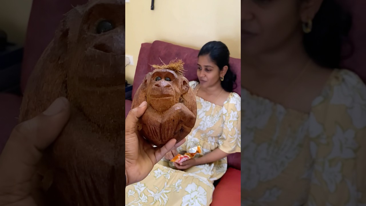 Andha korangu bomma enna vilai😂🐵😘 