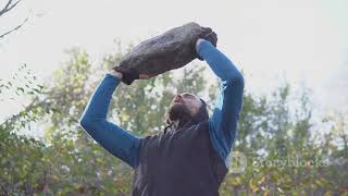 Grizz The Bear And The Magical Berry Adventure