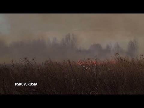 Vídeo: Batalla Por El Clima: Incendios En Siberia - La Obra De Los Estados Unidos? - Vista Alternativa