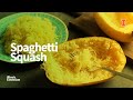 Picking, Preparing, and Storing Spaghetti Squash