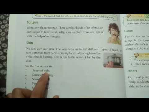 Class 3 - YouTube