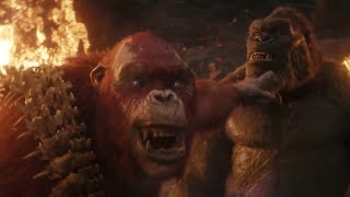 Godzilla x Kong: The New Empire but it's just the memes