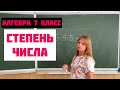 СТЕПЕНЬ ЧИСЛА  \\ Алгебра 7 класс