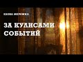 За кулисами событий | Елена Мережко