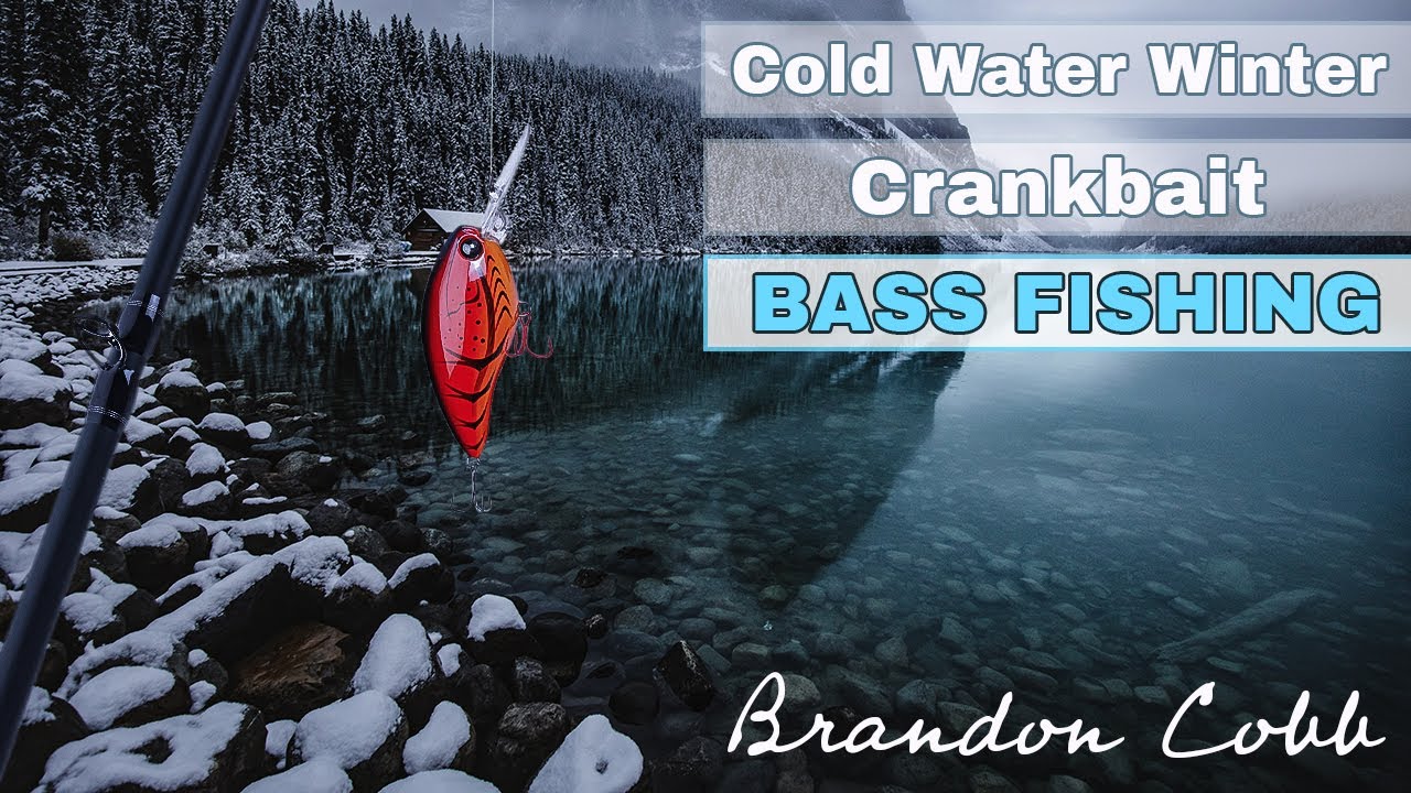 Winter Bass Fishing Tips : How to Fish Crankbaits 