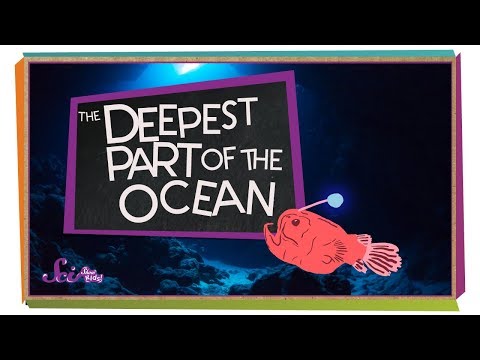 The Deepest Part of the Ocean!