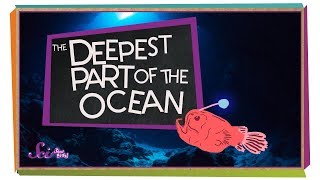 The Deepest Part of the Ocean!