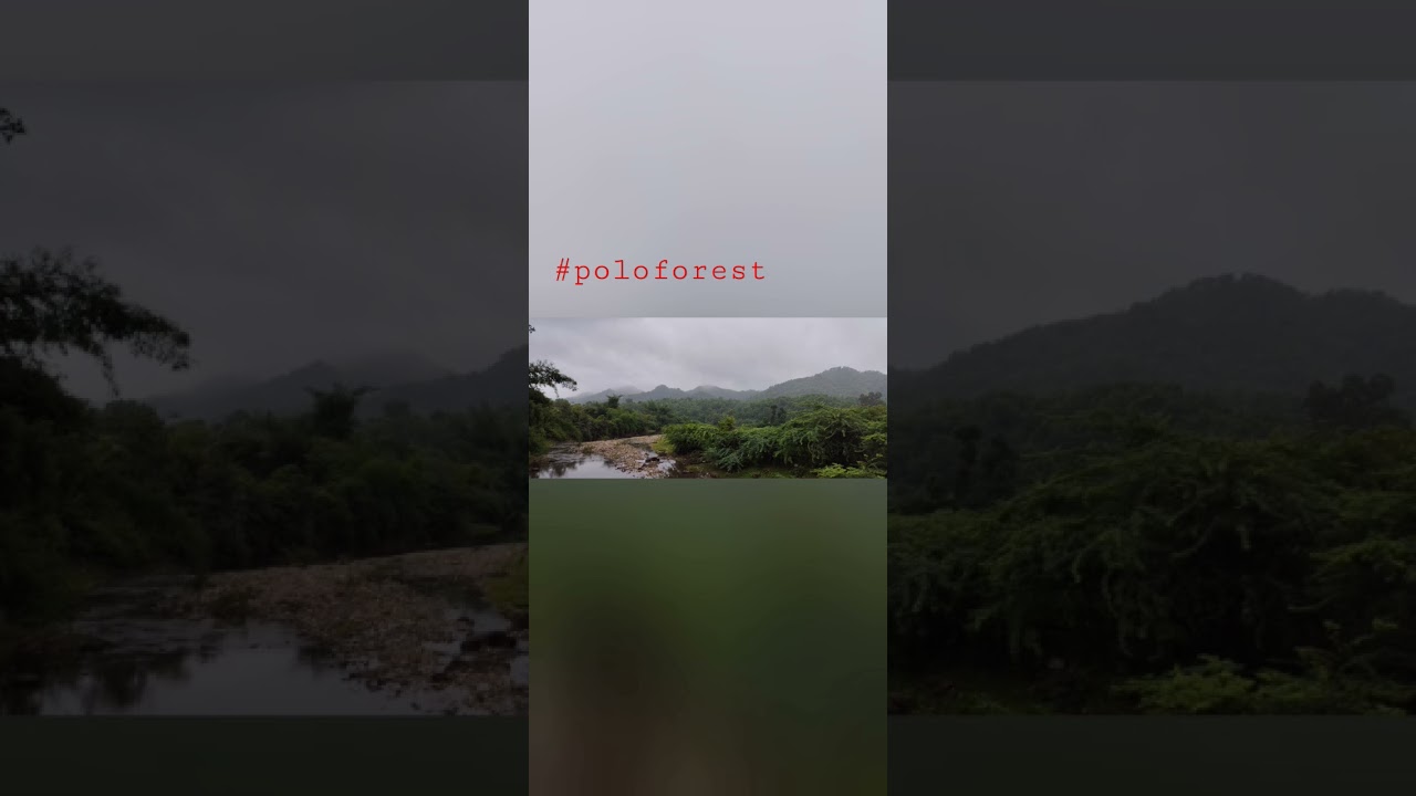 #poloforest