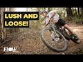 Forrest is back with some new tricks  lush  loose