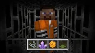 No one can Escape this Minecraft Prison