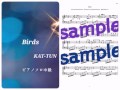 KAT-TUN/Birds Piano DEMO