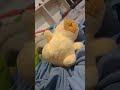 se mató xD