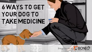 As a pet parents, you know that giving pills or tablets to dogs is no
easy task. much want your dog get better, sometimes he can't help but
...