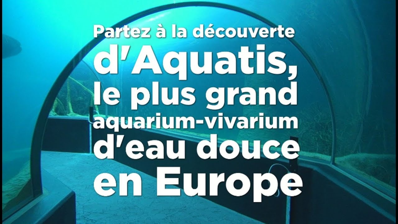 Visite d'Aquatis à Lausanne