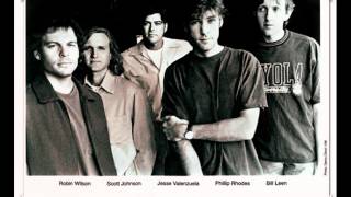 Video voorbeeld van "Gin Blossoms - Follow You Down"