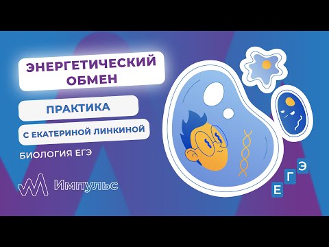 ЭНЕРГЕТИЧЕСКИЙ ОБМЕН | Биология. ЕГЭ 2022