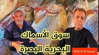 سوق الأسماك البحرية في البصرة القديمة.... الجمعة  2023/2/24...