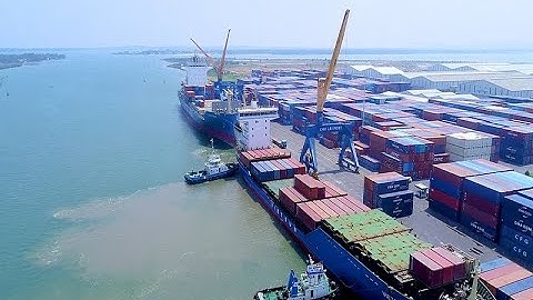 Cptpp ảnh hưởng thế nào đến xuất khẩu thanh long năm 2024