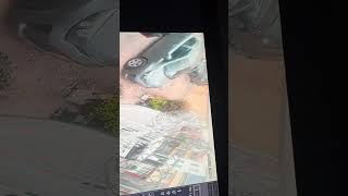 IMG 7337
