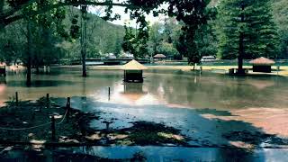 King Tides at Bobbin Head 6:12:17