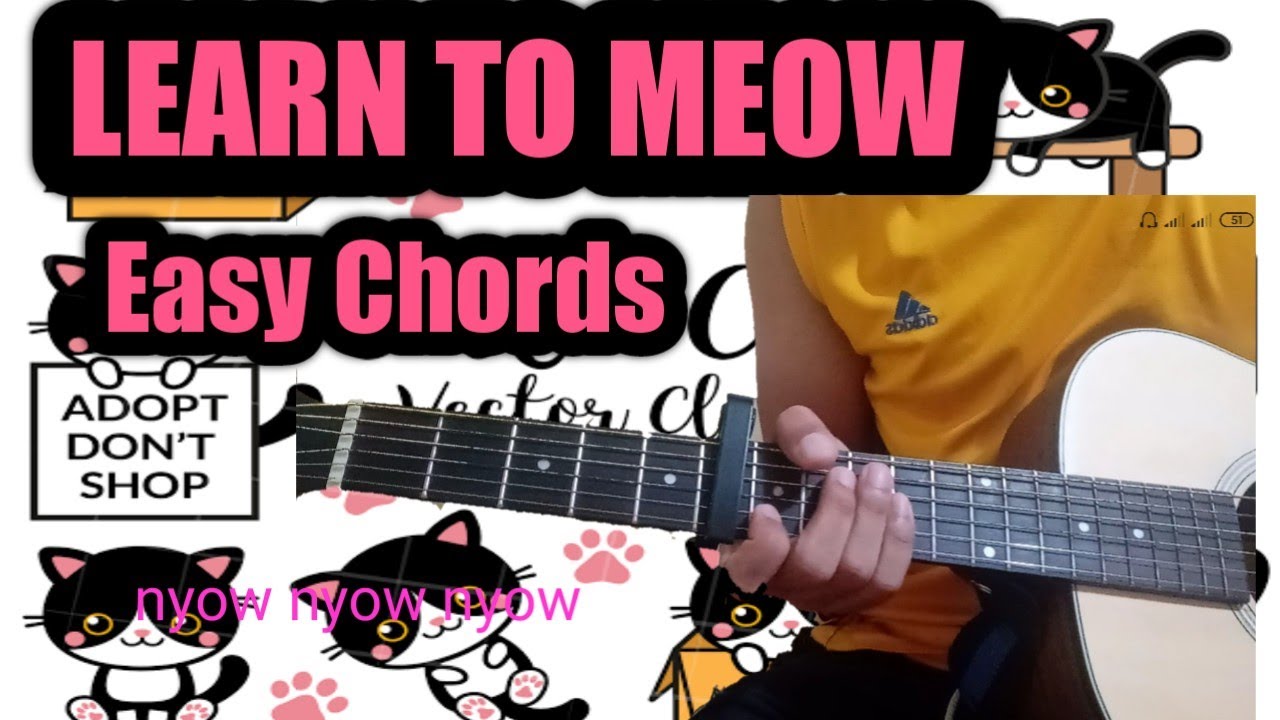 Learn to Meow (Tiktok Song) Guitar Chords nyow nyow YouTube
