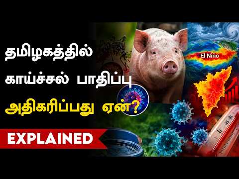 El Nino | தமிழகத்தை அச்சுறுத்தும் டெங்கு, பன்றிக் காய்ச்சல்! எல்-நினோவால் பாதிப்பு அதிகரிக்குமா?