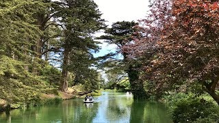 Golden Gate Park