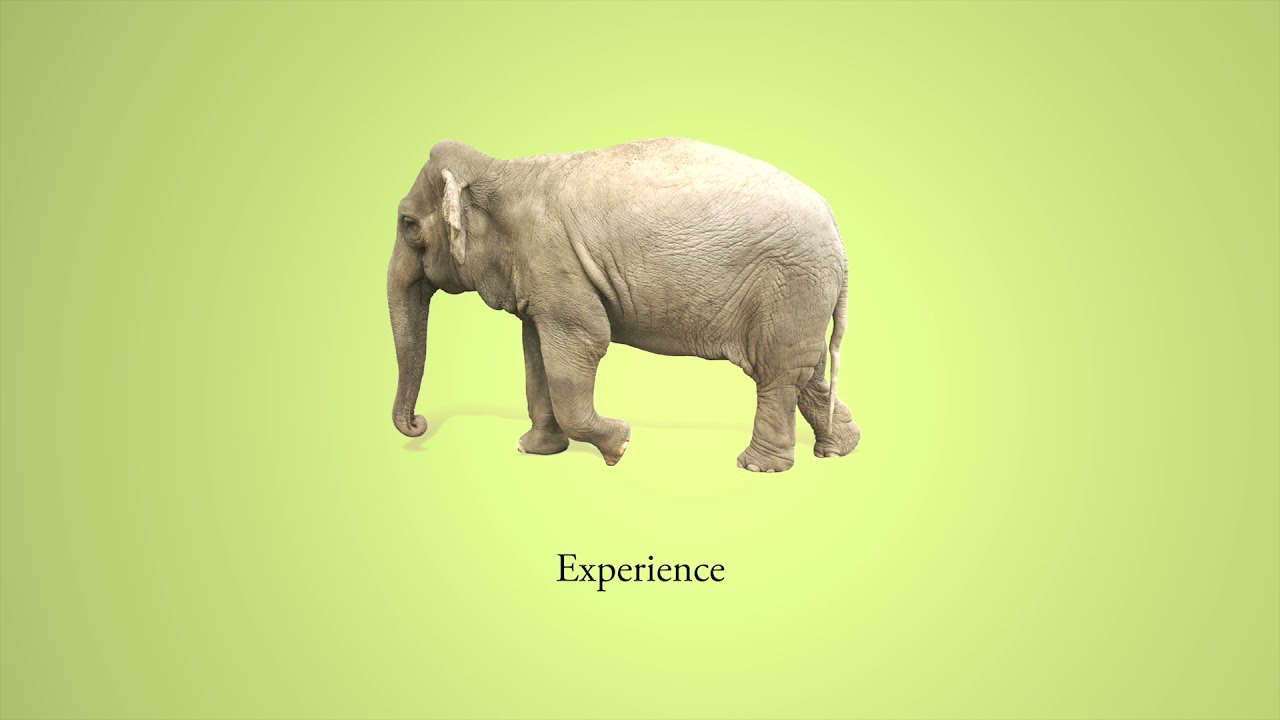 McBrayer Law Firm Experience.