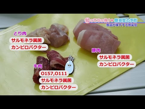 【O157など】食品が媒介する感染症「知ってなっ得！感染症の予防＃８その３」