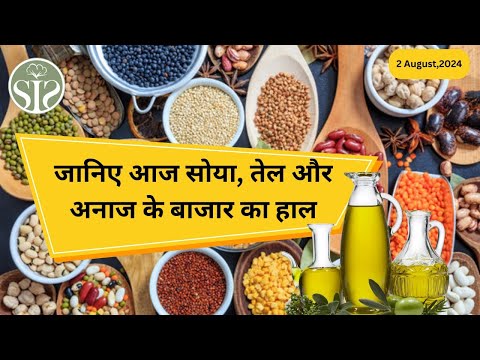 जानिए आज सोया, तेल और अनाज के बाजार का हाल Soya, oil and grains rate today🤔 #smartinfo #soya