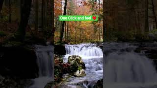 Relaxing Video # Shorts #Rainsound #asmr #nature #naturelovers