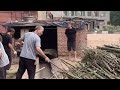 The Ultimate Satisfying Bamboo Shredder Non Stop Woodchip Production