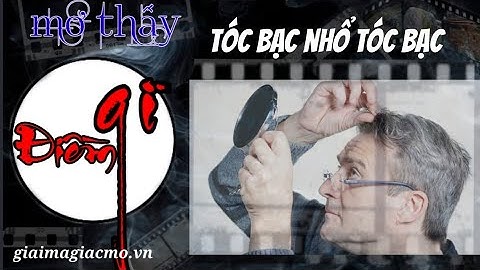 Mơ Thấy Tóc Bạc Nhổ Tóc Bạc Điềm Gì ☯ GiaiMaGiacMo.vn👁 Giải Mã Giấc Mơ Tóc Bạc Nhổ Tóc Bạc✅CHÍNH XÁC