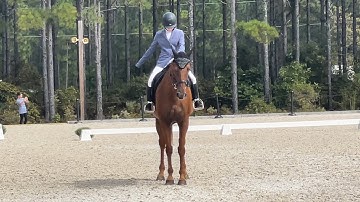 2023 TIP Championships - Intro Dressage Division - 2023 USDF Intro Test C - 58.750%