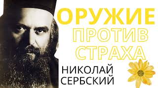 НИКОЛАЙ СЕРБСКИЙ- ,, ЛЮБОВЬ К БОГУ- ИСПОЛНЯТЬ ЗАПОВЕДИ ЕГО,, Православные Поучения Святых Отцов