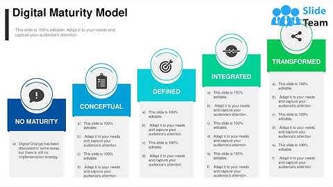 Digital Maturity Model