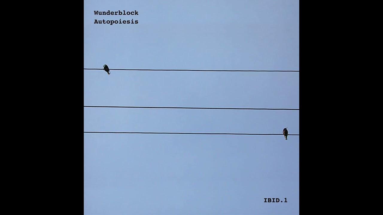 PREMIERE: Wunderblock - Kinetika [IBID​.​1]