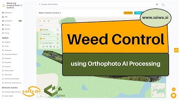 🌿 New AI Tool for Weed and Invasive Plant Detection – Try a Free Demo!