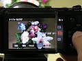 NEX-5Nのダイレクトマニュアルフォーカス(DMF)