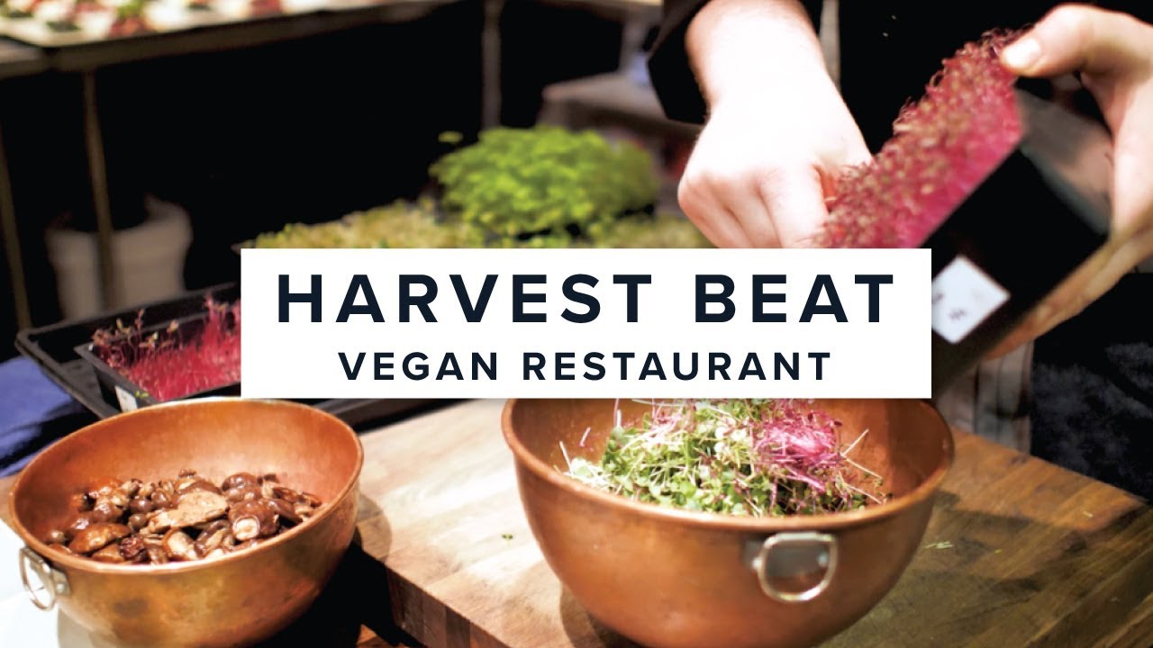 The Best Vegan Restaurant in Seattle! YouTube