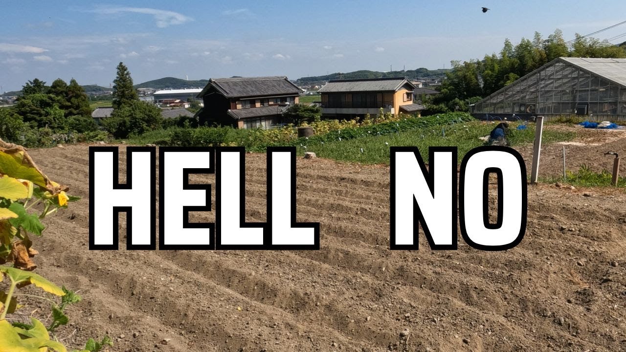 Почему многие иностранцы не хотят жить в сельской Японии