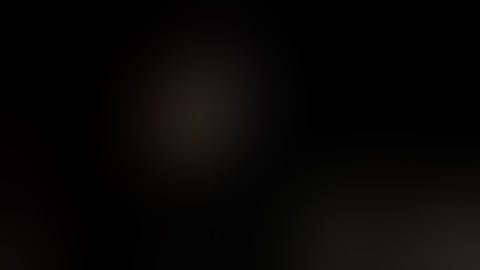 Jackass3D-Oficial (alligator snapping turtle)