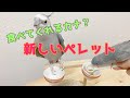 マズリ 鳥友さんから譲っていただいたペレットをお試し！